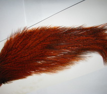 ������ ������ 1/2 whiting Coq De Leon  cape badger orange